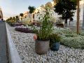 Курске на улице Ленина появилось еще больше живых цветов