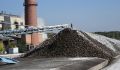 В Курской области обнаружили сахарную свеклу с содержанием пестицидов