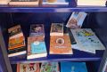 В Курске муниципальные библиотеки курируют 17 пунктов книгообмена