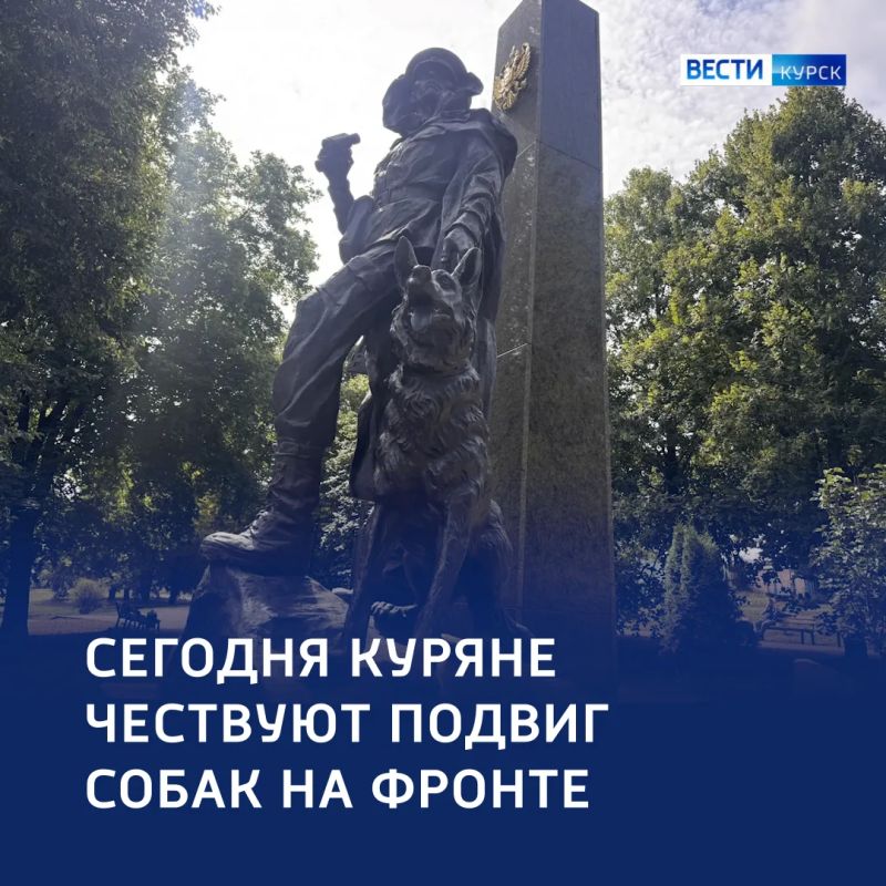 Лапы, что шли в бой: Курск отмечает День фронтовой собаки