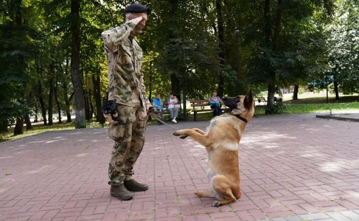 В Курске прошла акция «День фронтовой собаки»