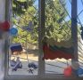 Триколор в каждом окне: сотрудники УИС по Курской области присоединились к акции «Флаг в каждый дом»