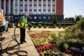В Курске увеличили полив клумб из-за жары
