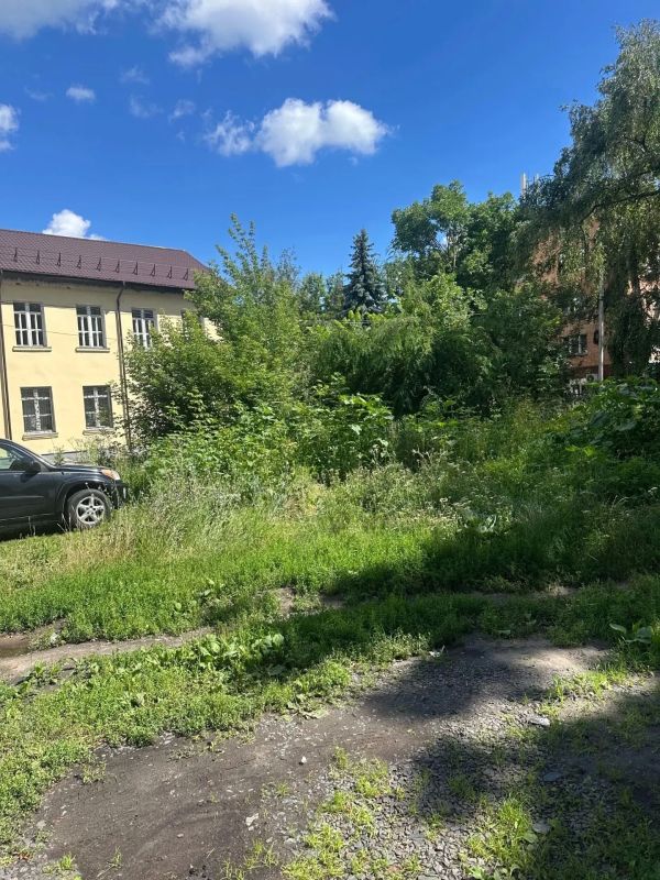 Жители улицы Ленина в Курске заявили об отсутствии покоса травы