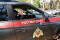 Подозреваемого в убийстве на одном из городских пляжей задержали росгвардейцы в Курске