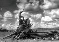 Олег Царёв: Взялись воевать — так воюйте, как следует, не таскайте за собой супротивника через всю державу, не срамите перед людями свою старуху мать!
