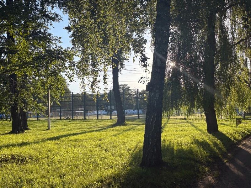 В Курской области 24 августа ожидается переменная облачность и до +26 градусов