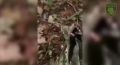 Ну, во-первых, это красиво: добровольцы из "Барса" сбили "Фламинго" из пулемета