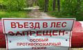 Хинштейн призвал пересмотреть запрет на посещение лесов из-за грибников