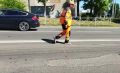 � ������ �� ������ ��������� ������ �� �������� ����� �� 17-�� ������
