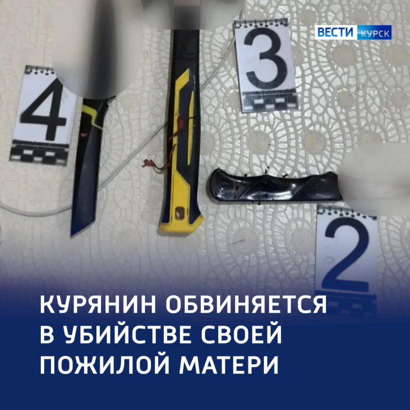 17-летний сын обвиняется в убийстве матери в Курске