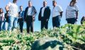 Александр Хинштейн посетил бахчу «КурскАрбуз» в Малой Шумаковке
