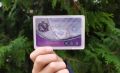 В Курской области школьные проездные можно оформить через Гоуслуги