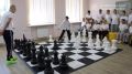 Александр Хинштейн: Пример того, как из случайной фразы рождается добро
