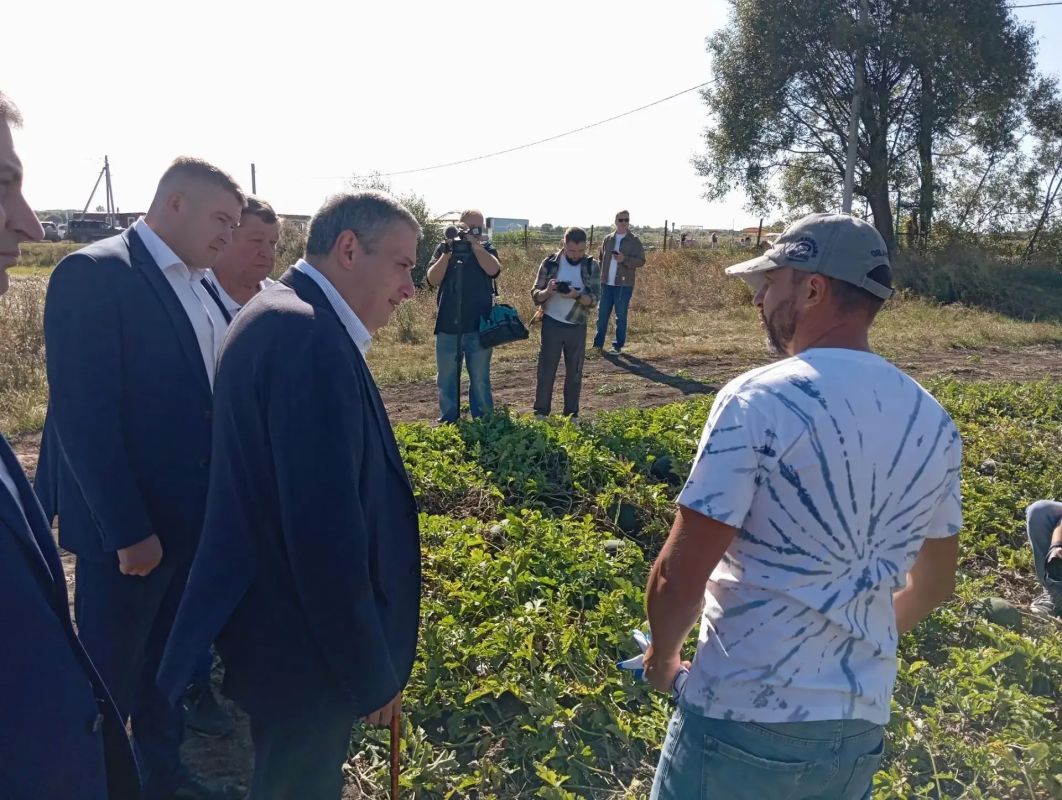 Александр Хинштейн попробовал арбузы с курской бахчи