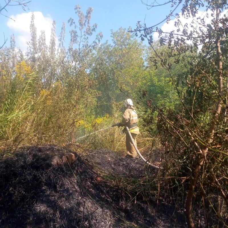 Огнеборцы ПЧ Железногорского района на тушении сухостоя