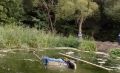 В Курске в реку упал самосвал: водитель погиб