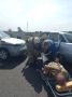 ДТП в Золотухинском районе: оперативная помощь пострадавшим