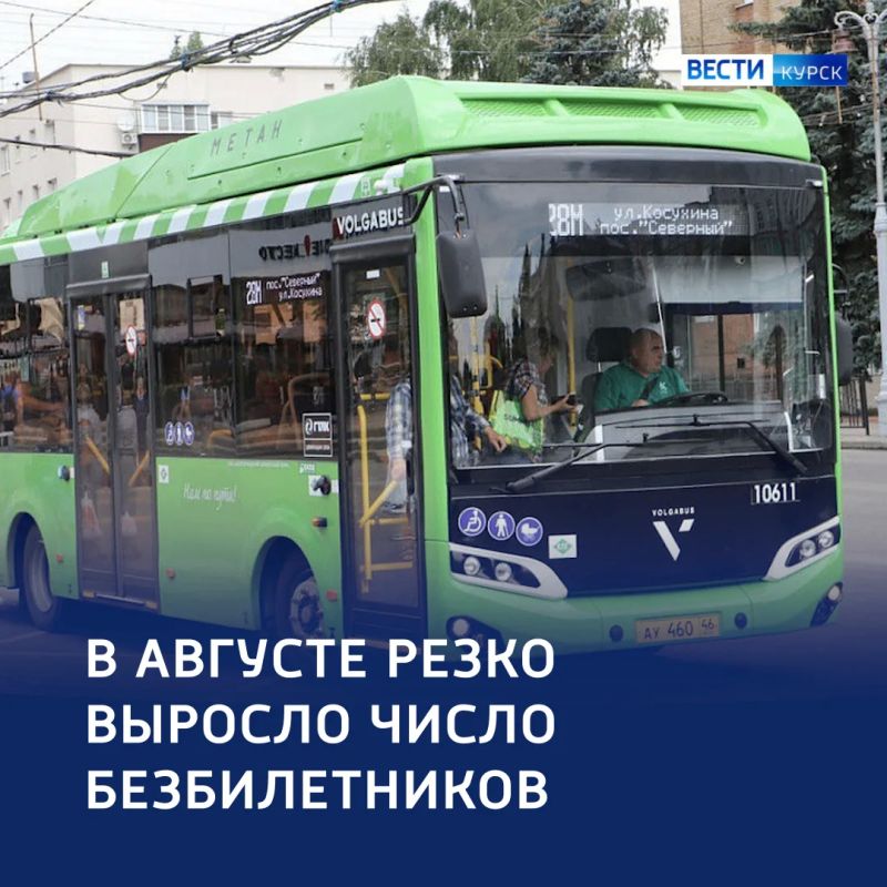 Резкий скачок «зайцев»: в регионе — рост числа безбилетников