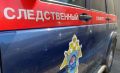 В Курской области девушка уговорила 12-летнюю девочку ограбить магазин