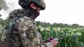 Бойцы «Барс-Курск» стоят на защите критически важных объектов инфраструктуры и уничтожают БпЛА ВСУ