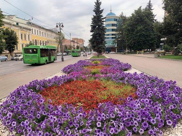 В Курской области 5 сентября ожидается до +25 градусов, дожди и грозы