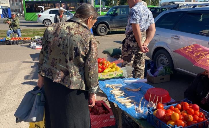 В Дмитриеве 7 уличным торговцам Россельхознадзор вынес предостережения