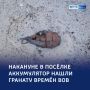 Ручную гранату времён ВОВ нашли в Курске