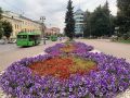В Курской области 5 сентября ожидается до +25 градусов, дожди и грозы