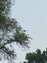 Атаки ВСУ на Курскую область не прекращаются