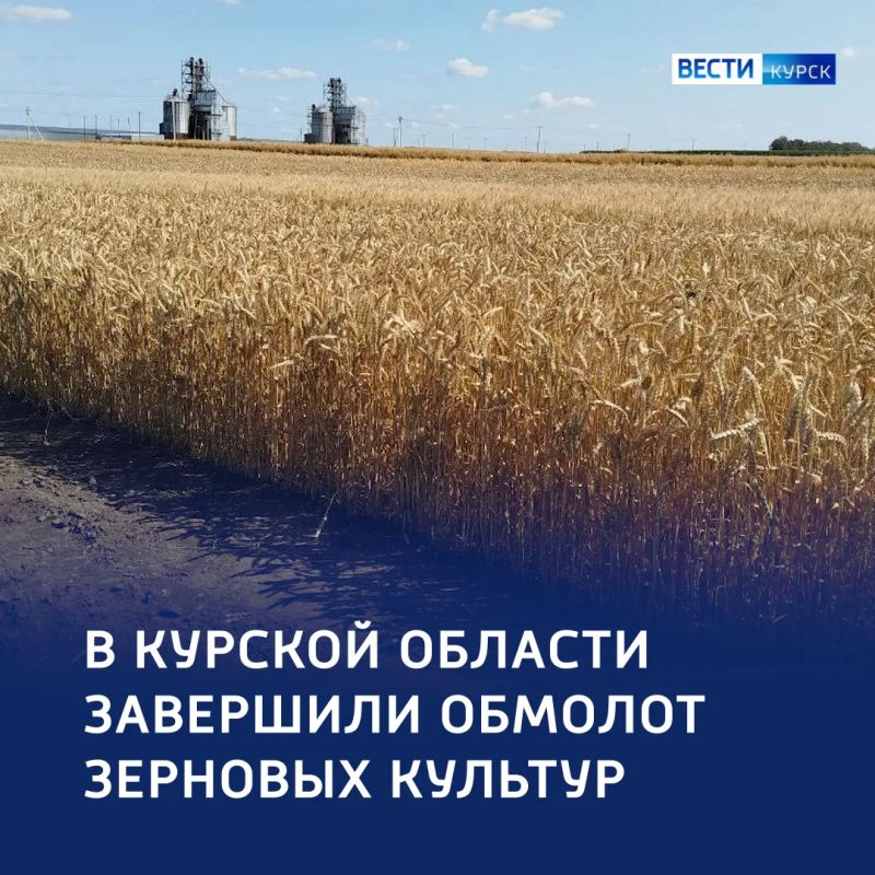 Полевые успехи: более 2 млн тонн зерна обмолотили в этом году