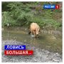 7 сентября, понедельник. Сегодня День рыбовода в России