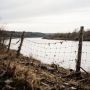 В Курске мэрия подала 10 исков к владельцам заборов на Тускари