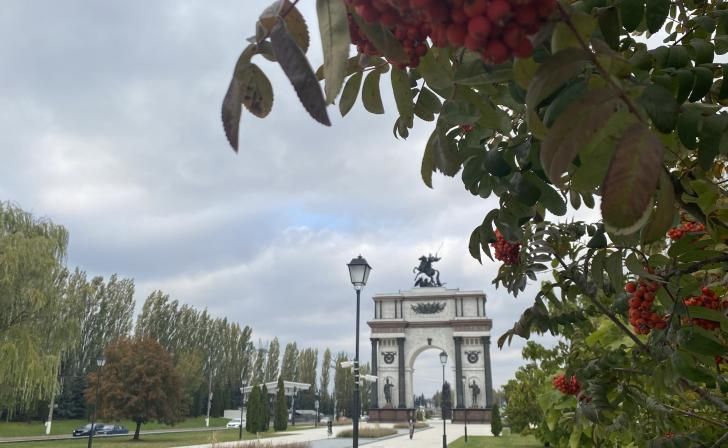 В Курске в парке «Патриот» планируют высадку новых деревьев и тюльпанов