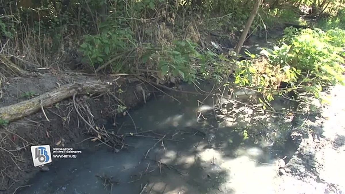 В Курске в овраг на Плевицкой льются канализационные воды
