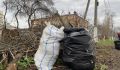 В Курске 13 сентября пройдет экологический квест «Евразийский Кубок Чистоты»