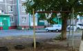 � ������ ���������, ���������� ������ �� ��������, �������� �� �������� ��������