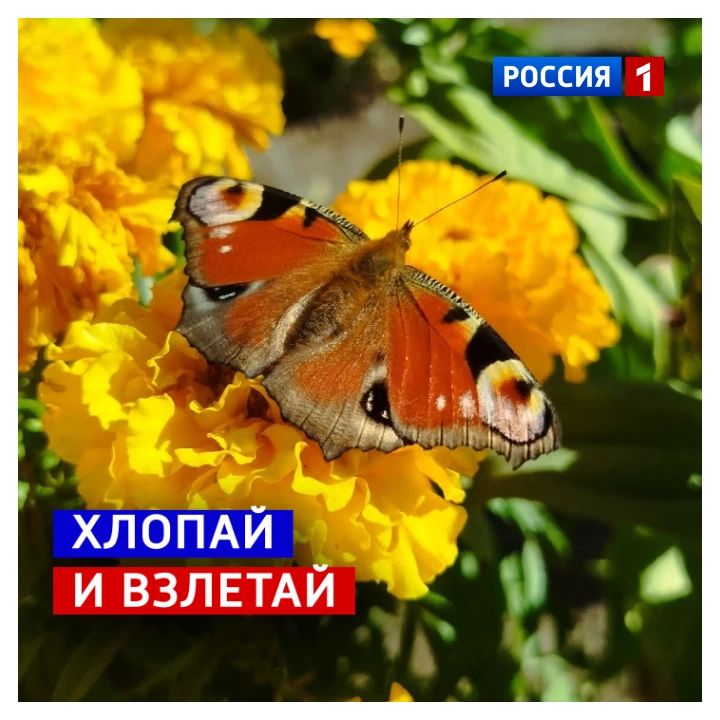 10 сентября, четверг. Только мы поздравили всех причастных к индустрии красоты, наступил Международный день макияжа