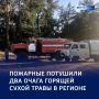 Огонь у порога: в Курской области спасатели защитили лес от пожаров