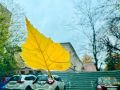 В Курскую область пришла дождливая осень