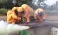 В Курской области спасатели нейтрализовали 200 баллонов с жидким хлором