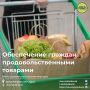 � ������ ��� ��������� ��� �������� ���������� ���������� ���������� ���������, ��� �������� ��������� ������� ����� ����������� �������� �� ��������� ����� ��� �������� ����������� �������� �����������