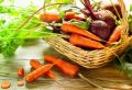 Когда убирать корнеплоды: советы по сбору моркови, свеклы и других овощей