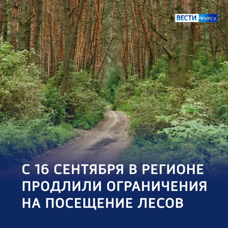 Без огня — среди деревьев: в регионе продолжает действовать особый противопожарный режим