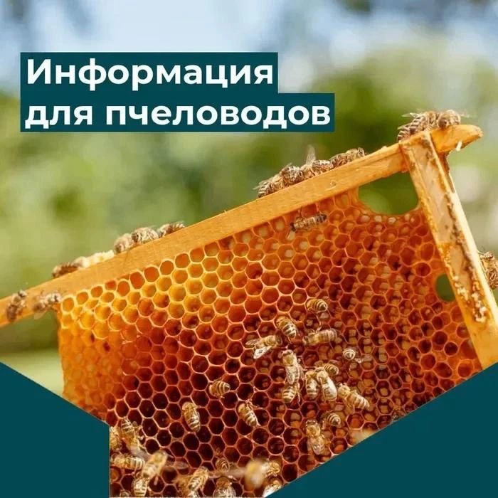 Уважаемые пчеловоды-фермеры и пчеловоды-любители!