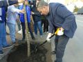 На улице Ленина в Курске высадили 16 лип