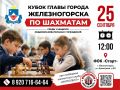 Юные шахматисты разыграют Кубок главы города