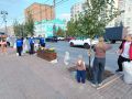 В Курске начали пересаживать липы, которые с недавних пор стояли в кадках на улице Ленина