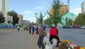 В Курске на улице Ленина высадили 16 лип