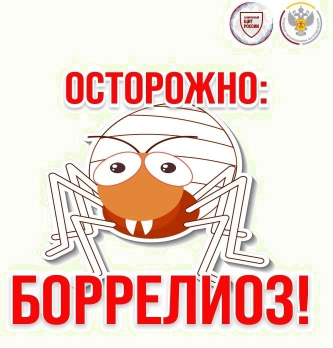 Впереди выходные. Последние погожие деньки многие постараются провести на природе и мы напоминаем об актуальности защиты от клещей